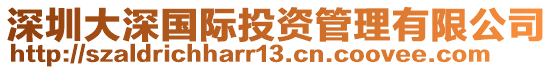 深圳大深國際投資管理有限公司