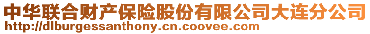 中華聯(lián)合財(cái)產(chǎn)保險(xiǎn)股份有限公司大連分公司
