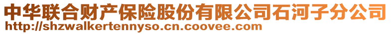 中華聯(lián)合財(cái)產(chǎn)保險(xiǎn)股份有限公司石河子分公司