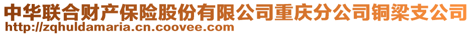 中華聯(lián)合財(cái)產(chǎn)保險(xiǎn)股份有限公司重慶分公司銅梁支公司