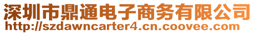 深圳市鼎通電子商務有限公司