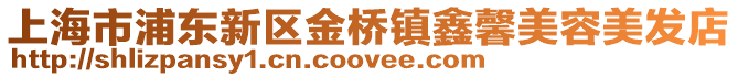 上海市浦東新區金橋鎮鑫馨美容美發店