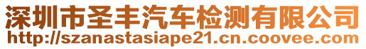 深圳市圣豐汽車檢測有限公司