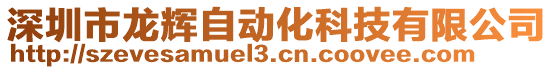 深圳市龍輝自動化科技有限公司