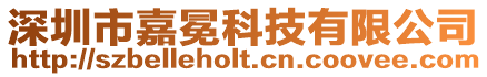 深圳市嘉冕科技有限公司