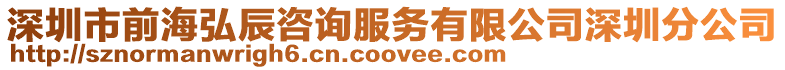 深圳市前海弘辰咨詢服務有限公司深圳分公司