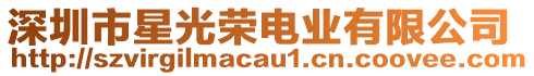 深圳市星光榮電業有限公司