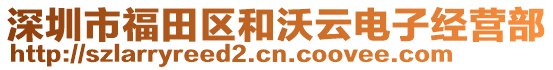 深圳市福田區和沃云電子經營部