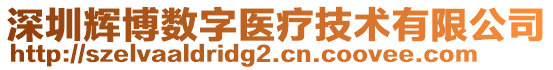 深圳輝博數(shù)字醫(yī)療技術(shù)有限公司