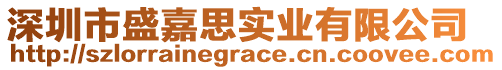 深圳市盛嘉思實業(yè)有限公司