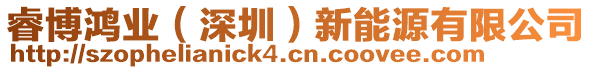 睿博鴻業(yè)（深圳）新能源有限公司