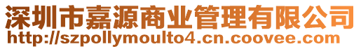 深圳市嘉源商業(yè)管理有限公司