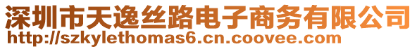 深圳市天逸絲路電子商務(wù)有限公司