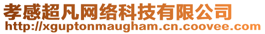 孝感超凡網(wǎng)絡(luò)科技有限公司