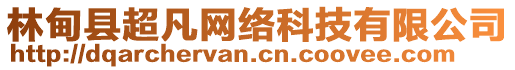 林甸縣超凡網(wǎng)絡科技有限公司