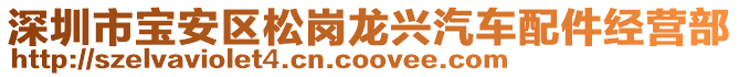 深圳市寶安區松崗龍興汽車配件經營部