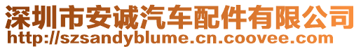 深圳市安誠汽車配件有限公司