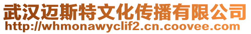 武漢邁斯特文化傳播有限公司