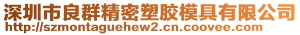 深圳市良群精密塑膠模具有限公司