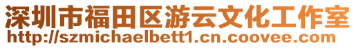 深圳市福田區(qū)游云文化工作室