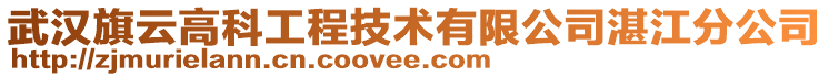 武漢旗云高科工程技術(shù)有限公司湛江分公司