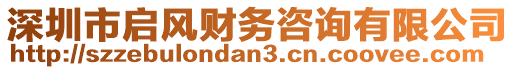 深圳市啟風(fēng)財(cái)務(wù)咨詢有限公司