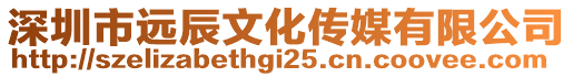 深圳市遠辰文化傳媒有限公司