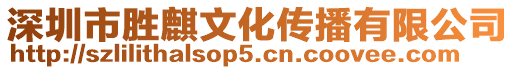 深圳市勝麒文化傳播有限公司