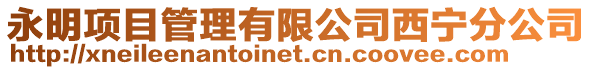 永明項目管理有限公司西寧分公司