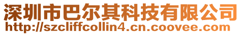 深圳市巴爾其科技有限公司