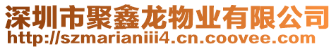 深圳市聚鑫龍物業(yè)有限公司