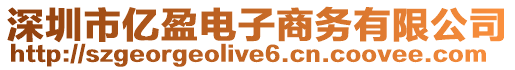深圳市億盈電子商務有限公司