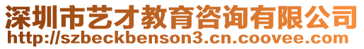 深圳市藝才教育咨詢有限公司