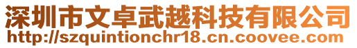 深圳市文卓武越科技有限公司