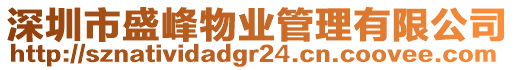 深圳市盛峰物業管理有限公司