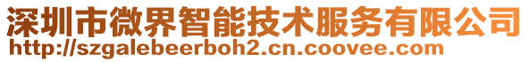 深圳市微界智能技術服務有限公司