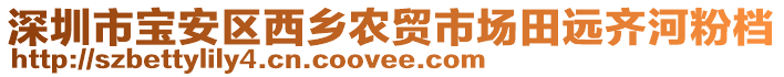 深圳市寶安區(qū)西鄉(xiāng)農(nóng)貿(mào)市場(chǎng)田遠(yuǎn)齊河粉檔