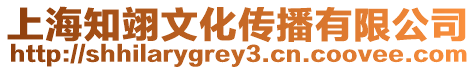 上海知翊文化傳播有限公司