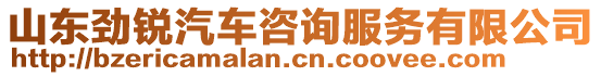 山東勁銳汽車咨詢服務有限公司