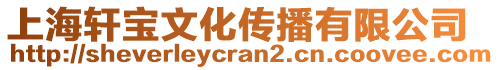上海軒寶文化傳播有限公司