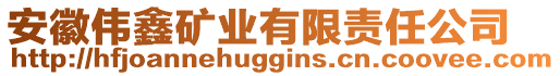 安徽偉鑫礦業(yè)有限責(zé)任公司