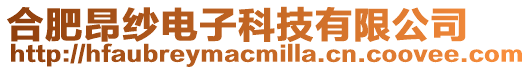 合肥昂紗電子科技有限公司
