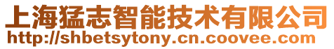 上海猛志智能技術(shù)有限公司