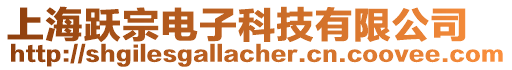 上海躍宗電子科技有限公司