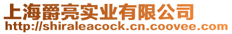 上海爵亮實業有限公司
