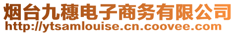 煙臺(tái)九穗電子商務(wù)有限公司