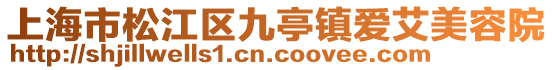上海市松江區(qū)九亭鎮(zhèn)愛艾美容院