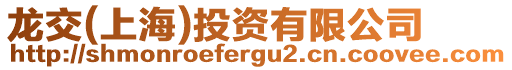 龍交(上海)投資有限公司