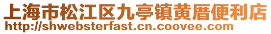 上海市松江區九亭鎮黃厝便利店