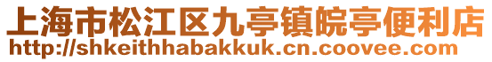 上海市松江區九亭鎮皖亭便利店